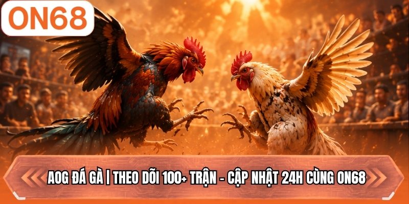 AOG Đá Gà | Theo Dõi 100+ Trận - Cập Nhật 24H Cùng ON68