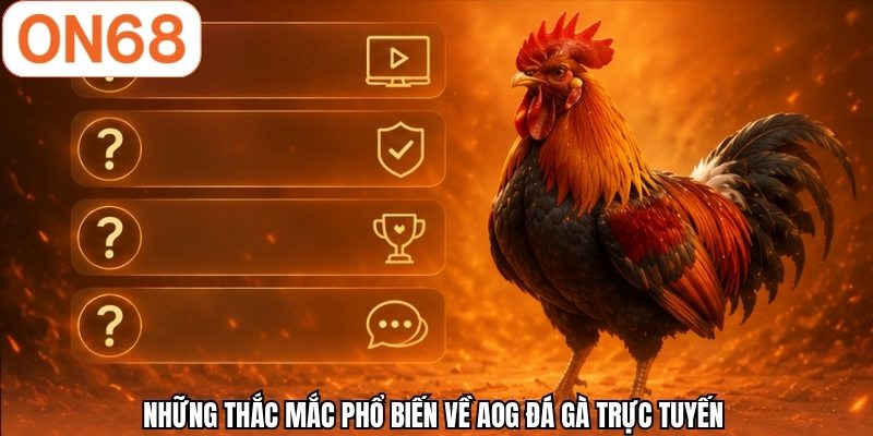Những thắc mắc phổ biến về AOG đá gà trực tuyến