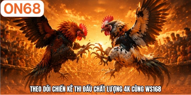 Theo dõi chiến kê thi đấu chất lượng 4K cùng WS168