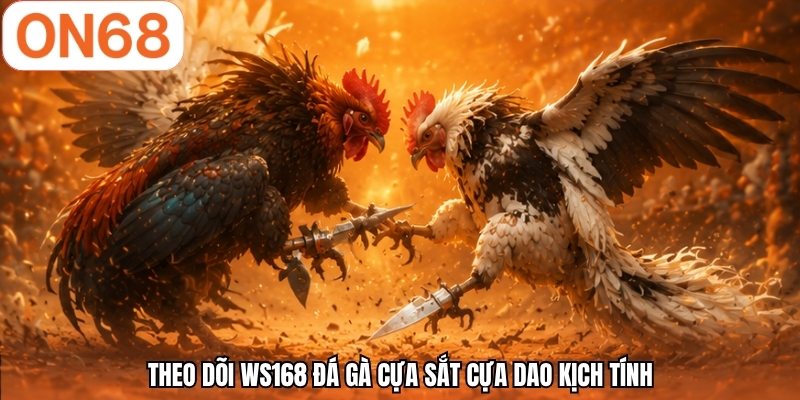 Theo dõi WS168 đá gà cựa sắt cựa dao kịch tính