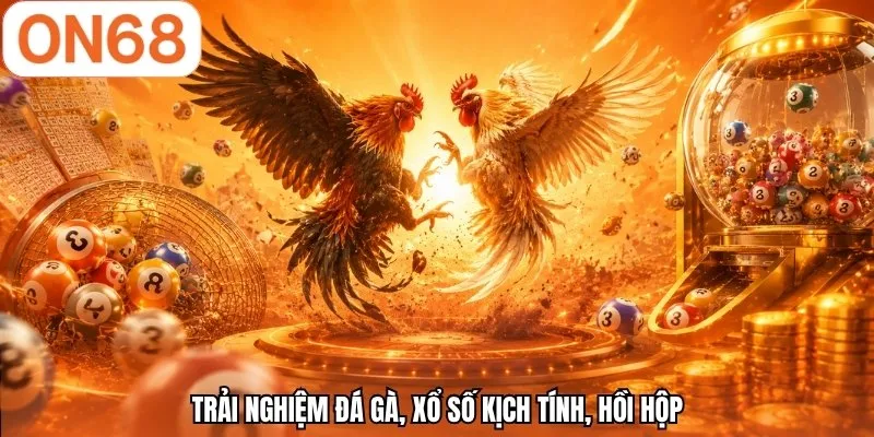 Trải nghiệm đá gà, xổ số kịch tính, hồi hộp