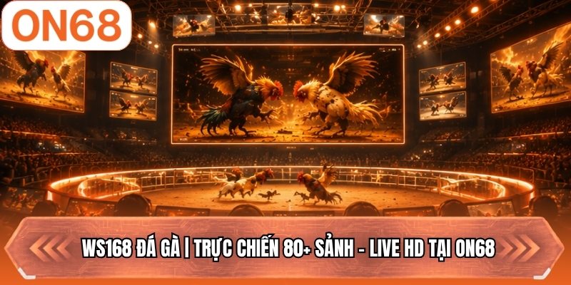 WS168 Đá Gà | Trực Chiến 80+ Sảnh - Live HD Tại ON68